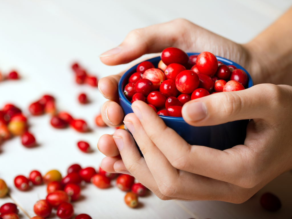 Cranberries in a cup held by hands