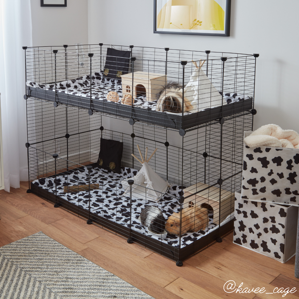 C&C Kavee cage with cow print fleece liner and guinea pigs.