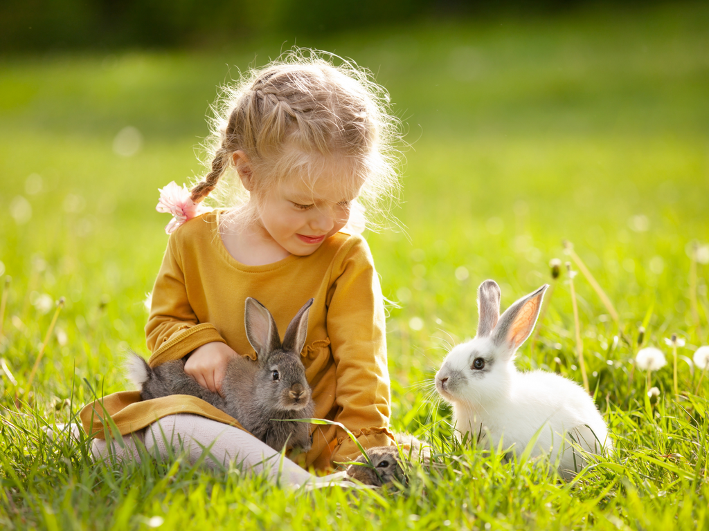 Girl playing with rabbits outside