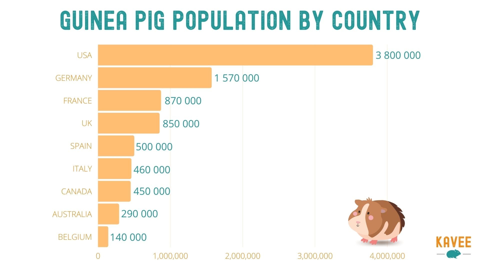 Guinea pig population by country usa uk france belgium italy spain germany australia