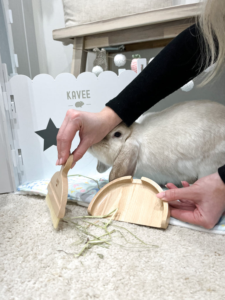 Woman cleaning a bunny's living area with Kavee dustpan and brush