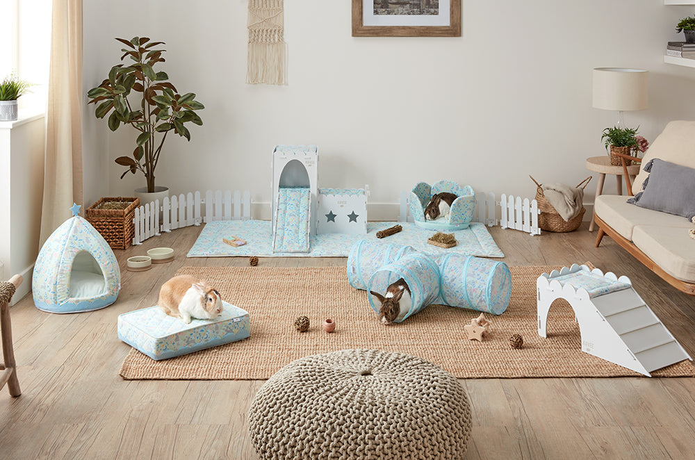 Rabbits in a spacious play area with Kavee rabbit accessories