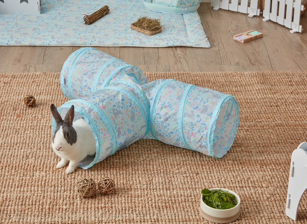 Kavee pop-up tunnel for rabbits