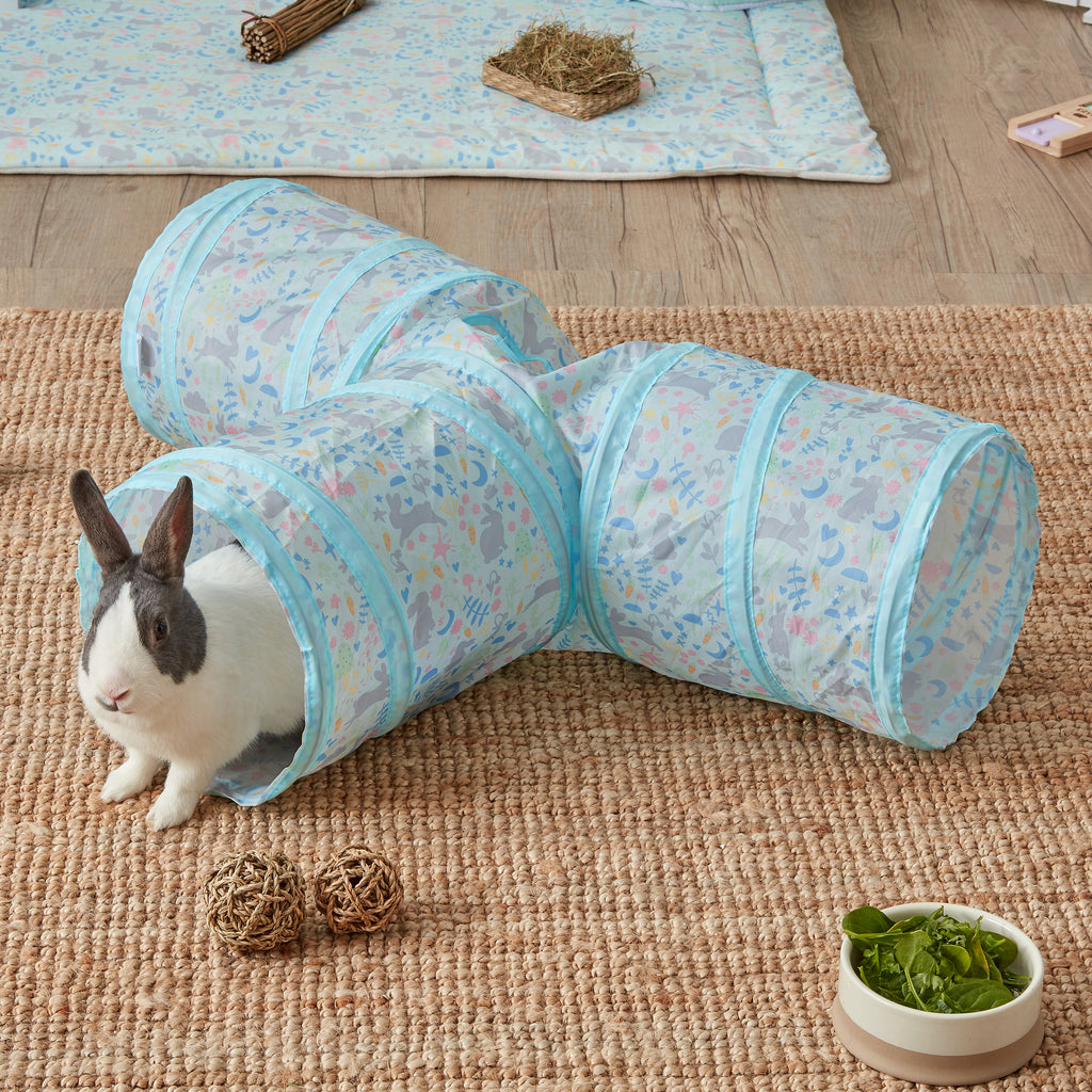 Rabbit playing with a Kavee rabbit pop-up burrow tunnel