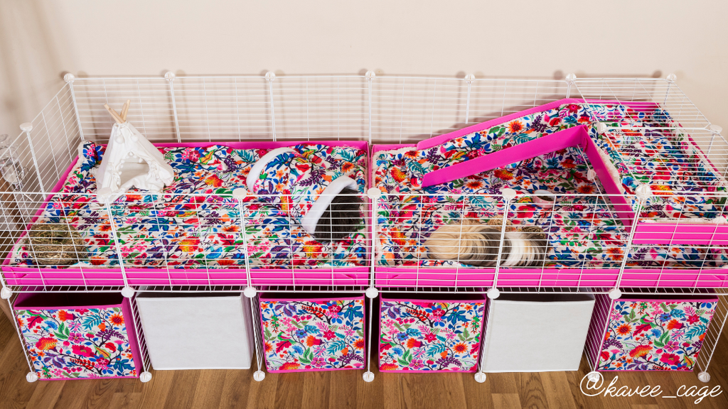 Large Kavee cage with coroplast, floral fleece liners, fleece tunnel, corner curtain and storage boxes.