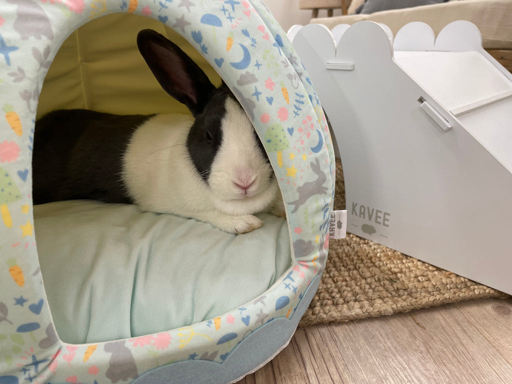 Rabbit hiding inside a Kavee rabbit hidey