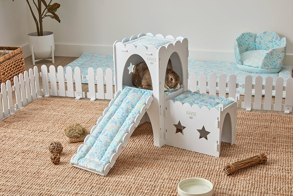 Rabbit on a Kavee wooden ramp and castle for rabbits