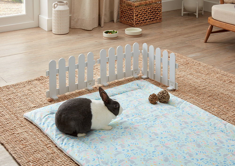 Rabbit next to Kavee binky barrier