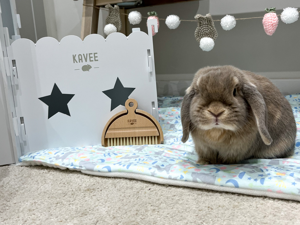 Rabbit with Kavee dustpan and brush on a Kavee fleece liner for rabbits