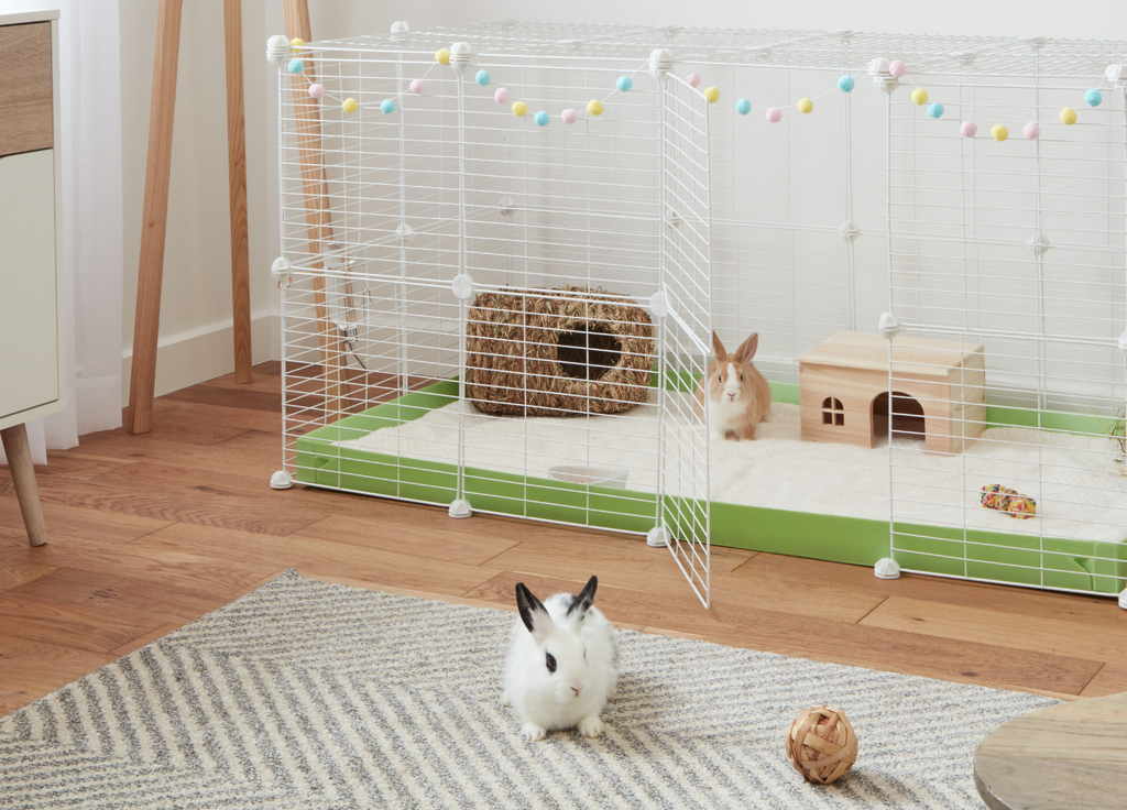 Rabbits with Kavee C&C 4x2 indoor cage for rabbits