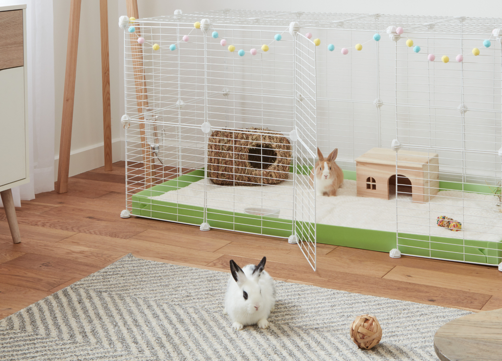 Rabbits in a 4x2 indoor cage