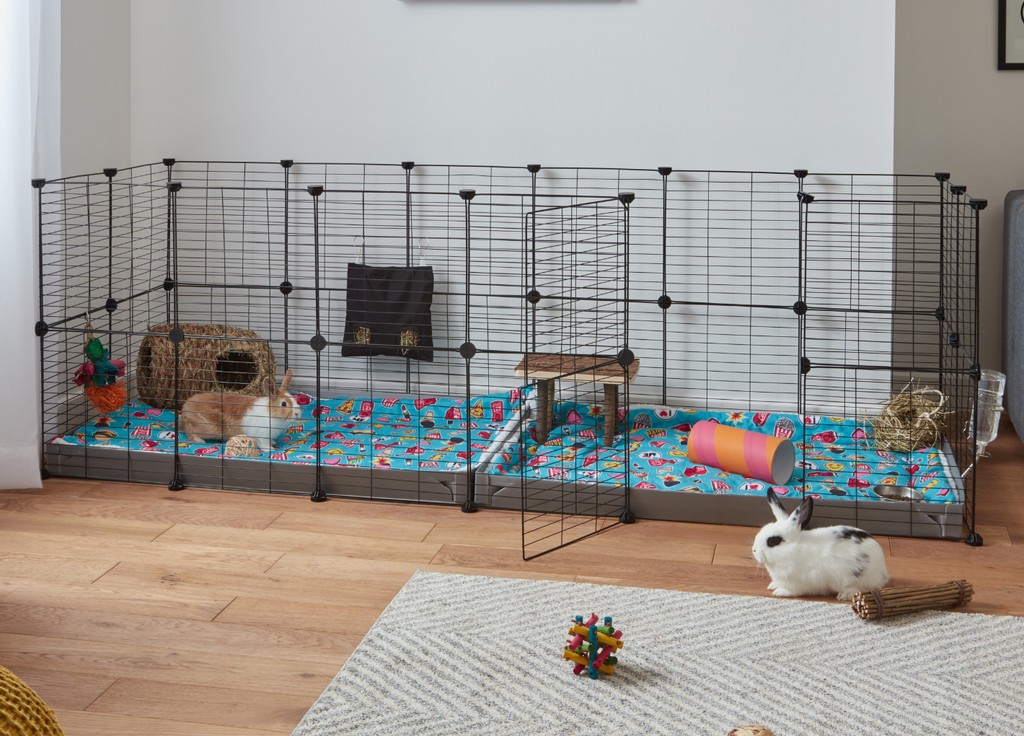 Rabbits inside a 6x2 C&C Kavee cage