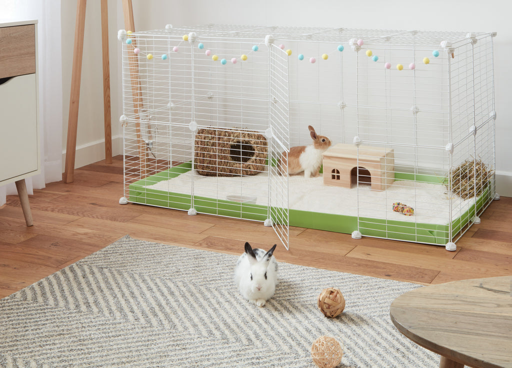 Rabbits relaxing with a Kavee 4x2 C&C rabbit cage