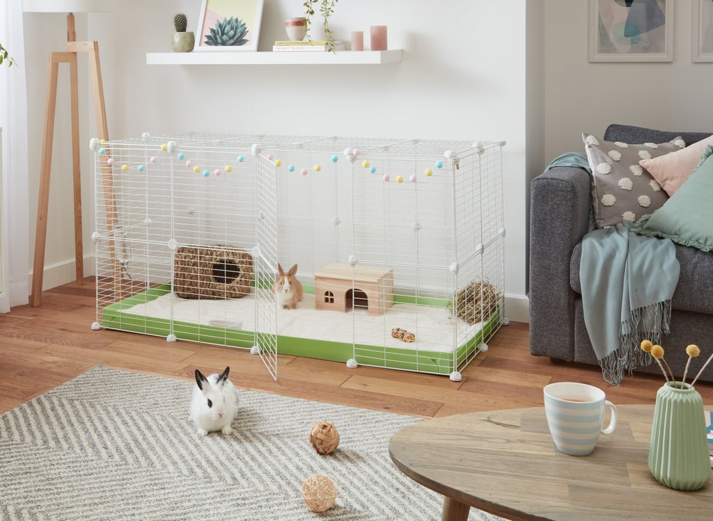 Two rabbits in a 4x2 Kavee C&C rabbit cage