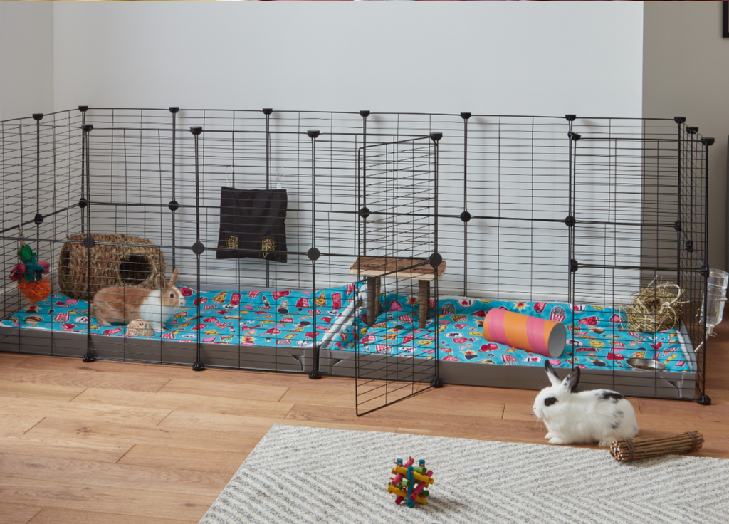 Two rabbits with Kavee C&C 6x2 cage for rabbits
