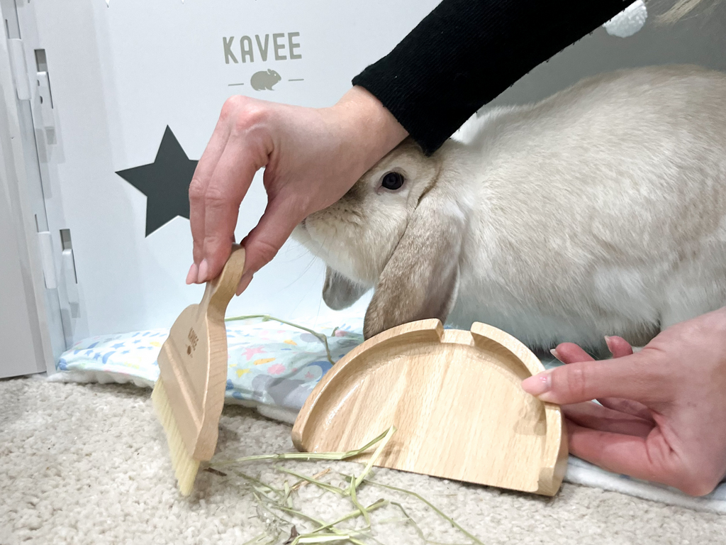 Woman using Kavee dustpan and brush to clean up a rabbit hay and poop