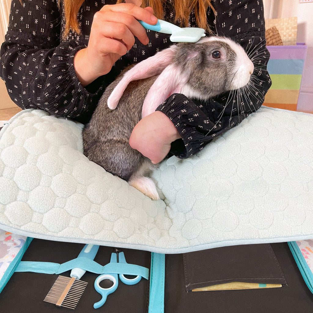 Woman grooming a rabbit with Kavee grooming kit