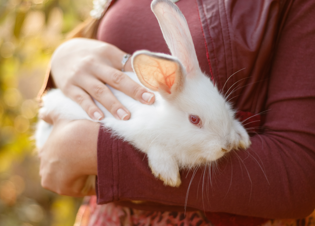 Woman holding white pet rabbit