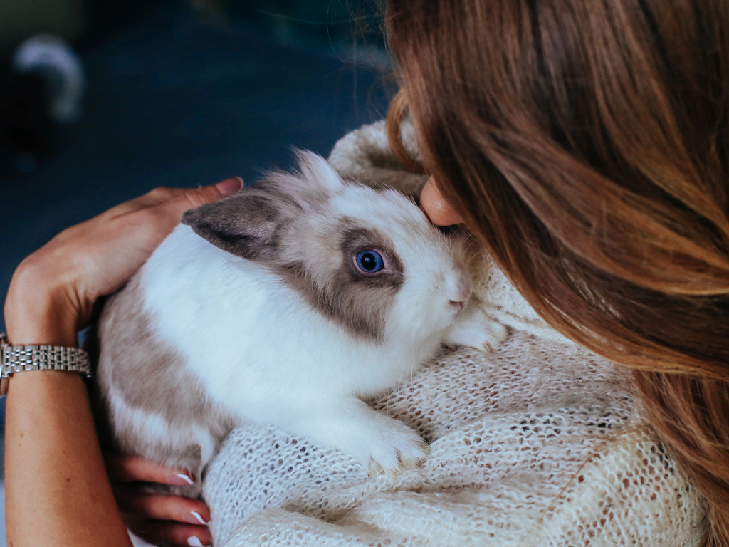 Woman hugging a rabbit