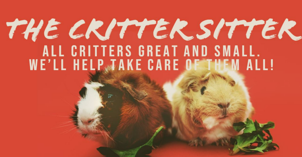 the critter sitter guinea pig boarding USA services