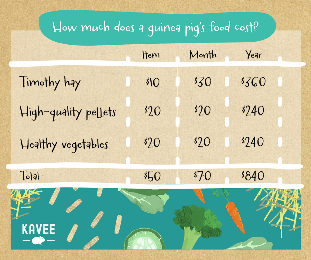 A list containing the price of foods for your guinea pig