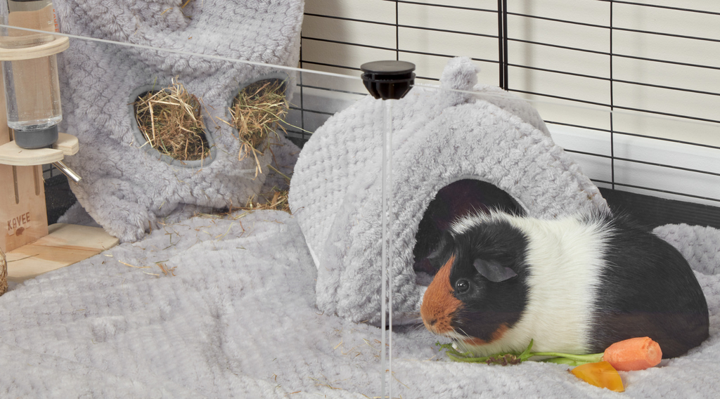 Tri coloured guinea pig on top of a kavee gray fleece liner