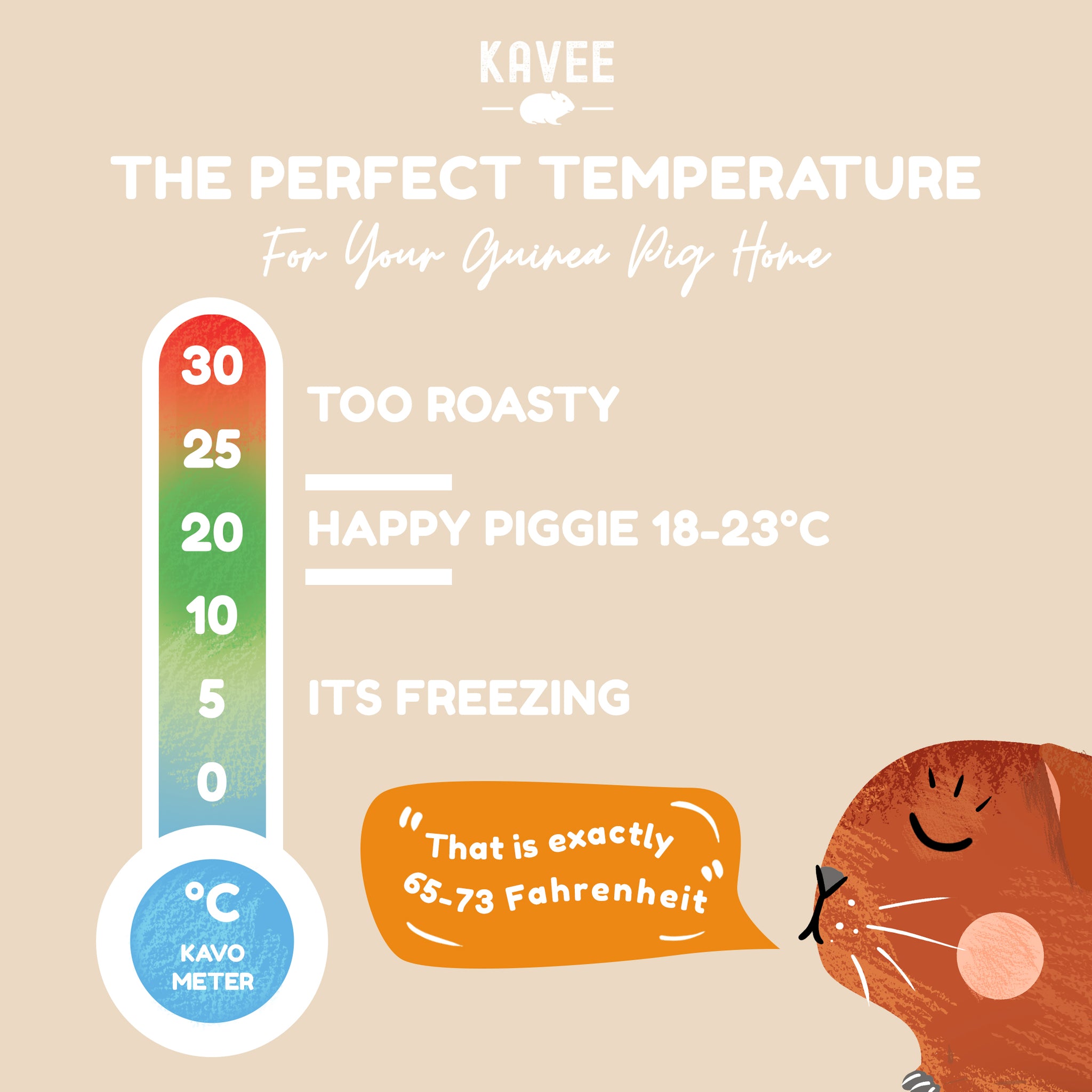 Visual guide to the perfect temperature for guinea pigs