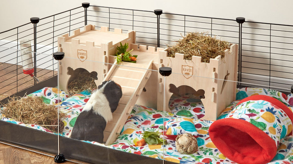 guinea pig climbing ramp of wooden castle themed fort sustainable wood in C&C cage