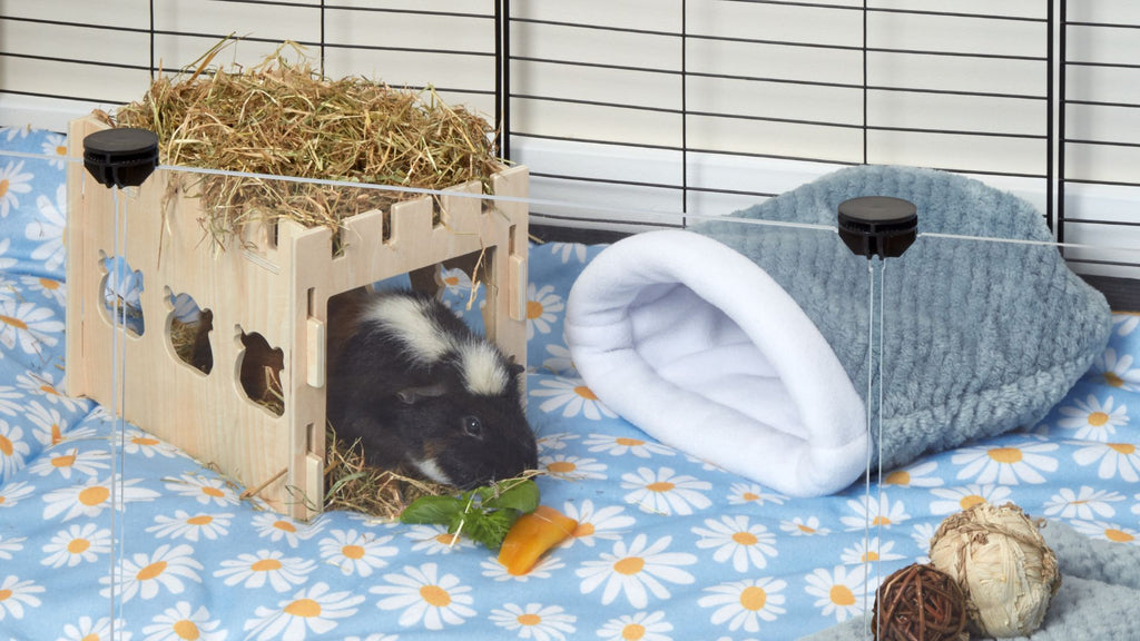 guinea pig eating vegetables in wooden castle themed tunnel on daisy fleece liner