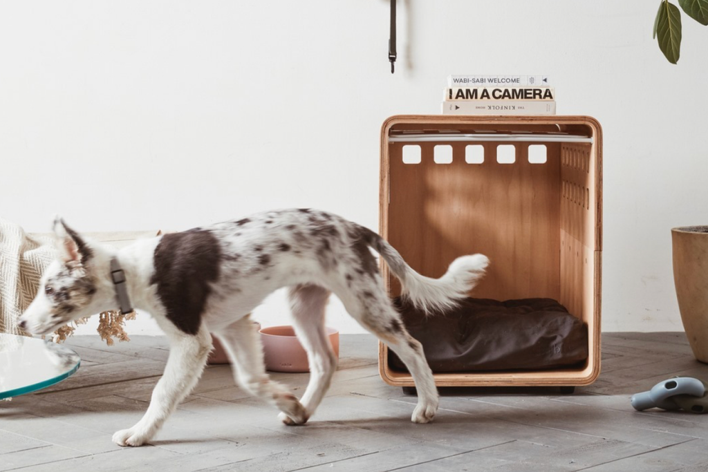 Bourke St. the Label - Dog Beds - Fable Pets