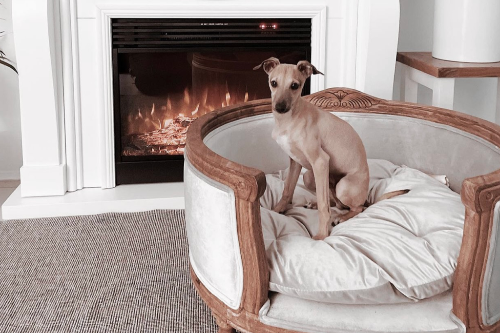 Bourke St. the Label - Dog Beds - Early Settler Furniture