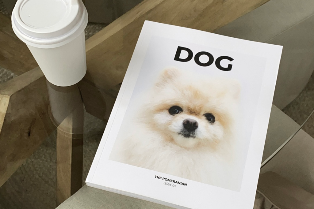 Bourke St. the Label - Shopping for Dog Parents - Dog Mag