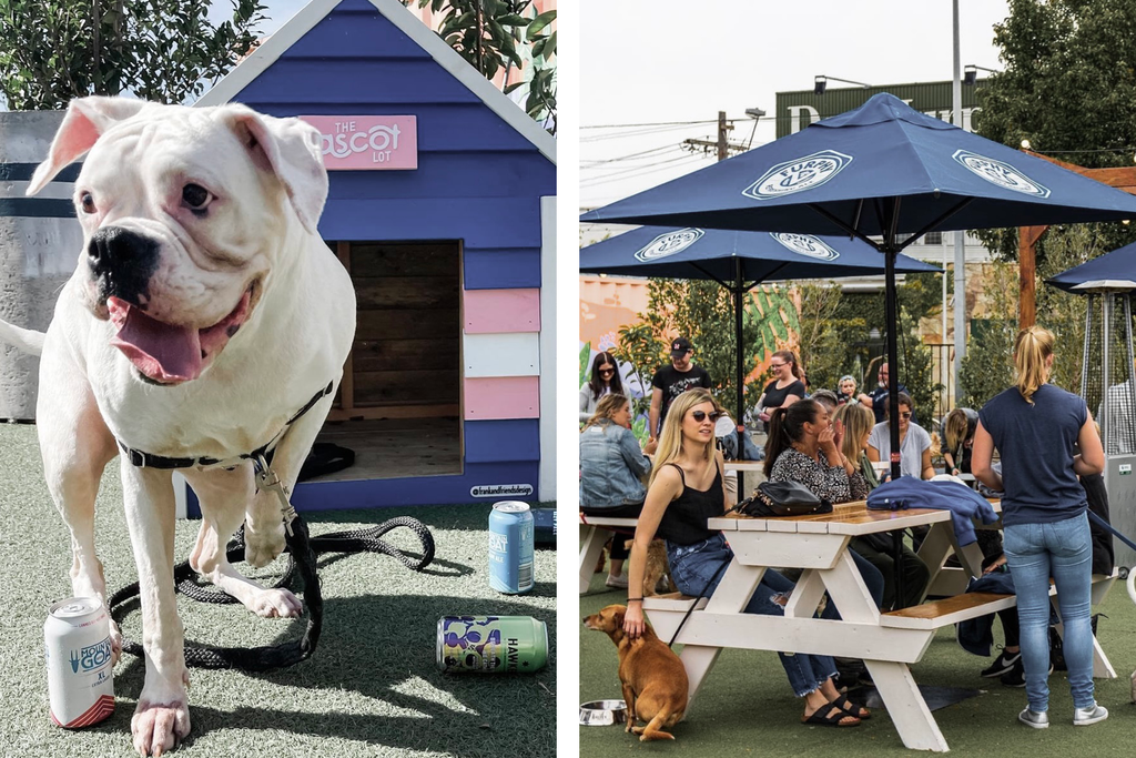 Bourke St. the Label - Dog Friendly Food Truck Parks - Melbourne - The Ascot Lot