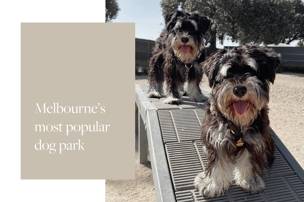 Bourke St. the Label - Dog Friendly Park - Pawfield Park Caulfield Park
