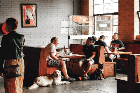 Bourke St. the Label - Dog Friendly Pubs - Lulie Tavern