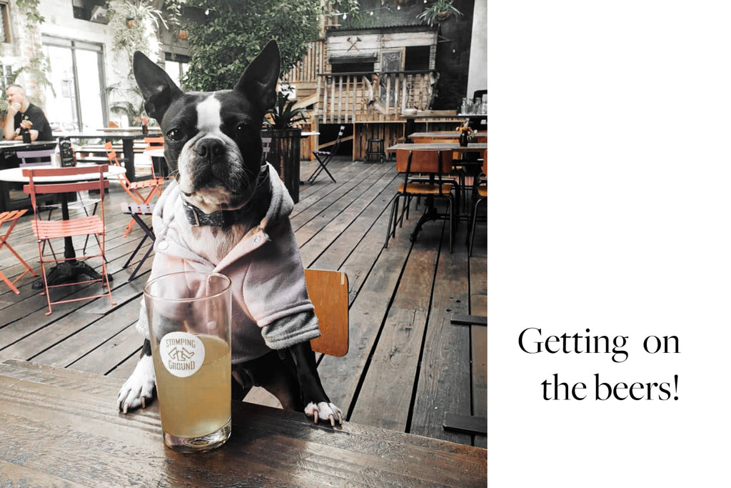 Bourke St. the Label - Dog Friendly Pubs - Stomping Ground Collingwood