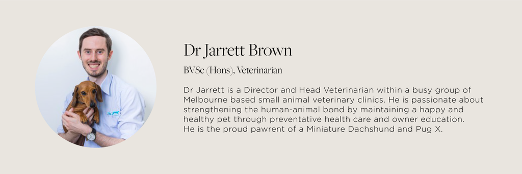 Bourke St. the Label - Vet Advice - Dr. Jarrett Brown - A Checklist for First Time Puppy Pawrents