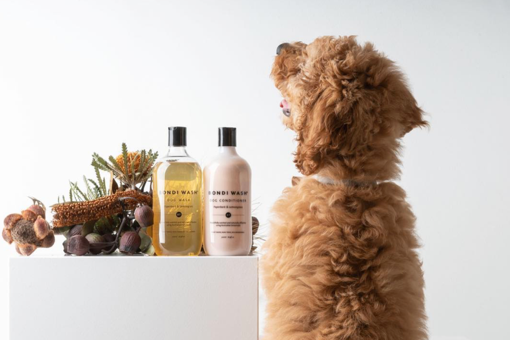 Bourke St. the Label - Dog Grooming Products - Bondi Wash Dogs