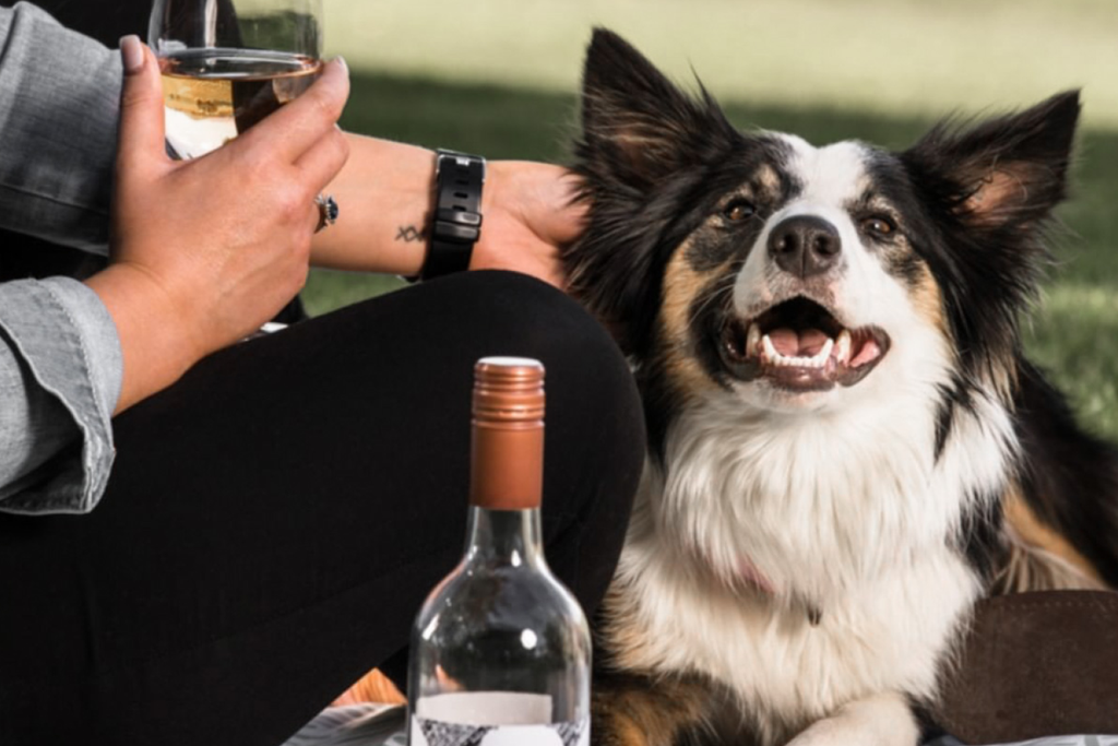 Bourke St. the Label - Dog Friendly Wineries - De Bortoli Wines