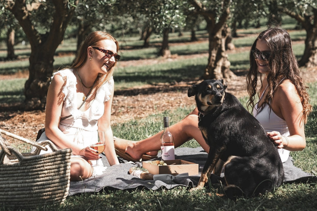 Bourke St. the Label - Dog Friendly Wineries - Green Olive at Red Hill