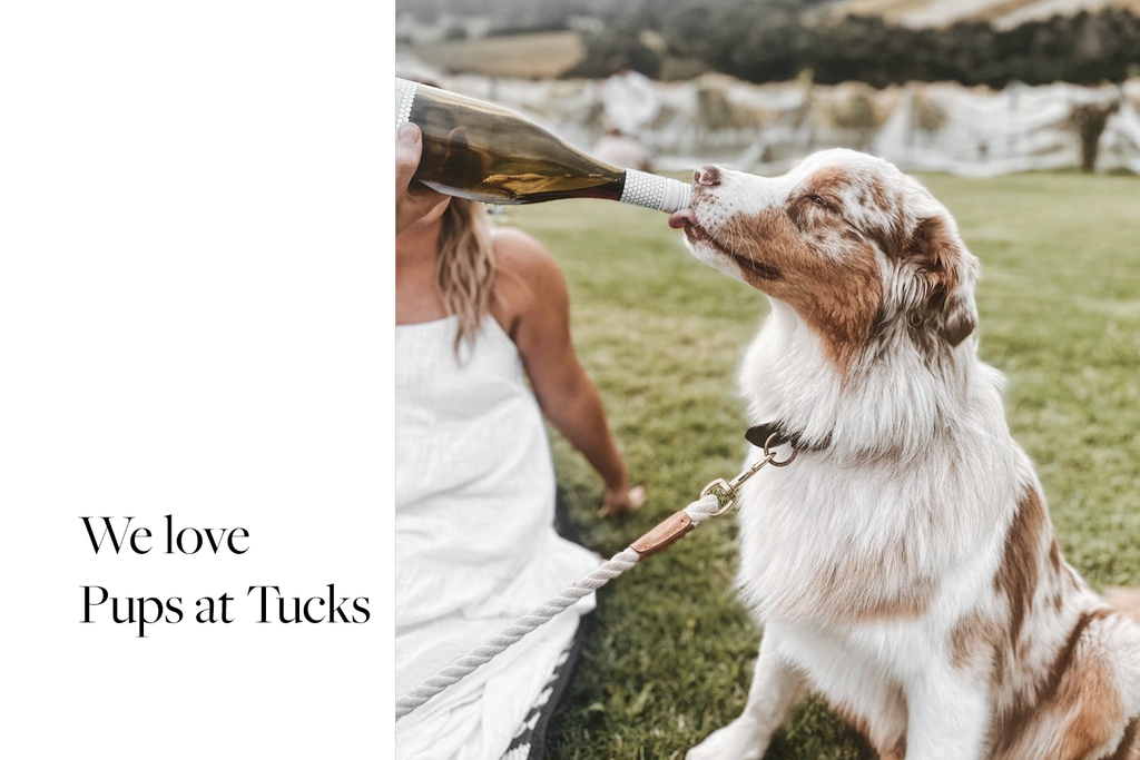 Bourke St. the Label - Dog Friendly Wineries - Tucks Wine