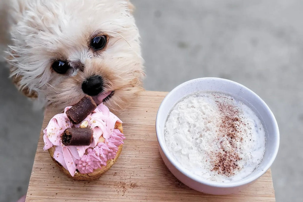 Dog Bakeries In Melbourne 