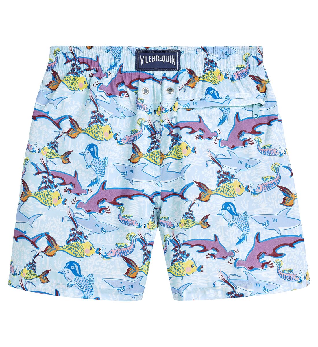 Boys Ultra-Light and Packable Swim Trunks French History