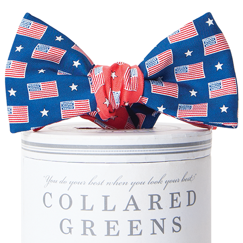 Let Freedom Ring Mixer Bow Tie