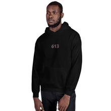 Load image into Gallery viewer, Ottawa Area Code Hoodie
