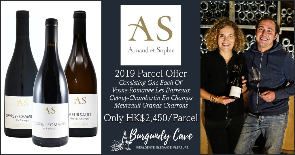 2019 Arnaud et Sophie Passetoutgrain Rosé – Somm Cellars