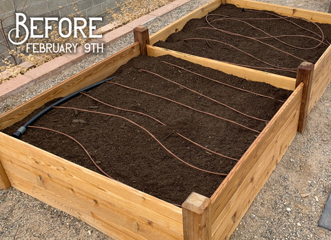 Prepped Raised Bed