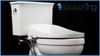 Bio Bidet DLS Discovery Bidet Toilet Seat Review