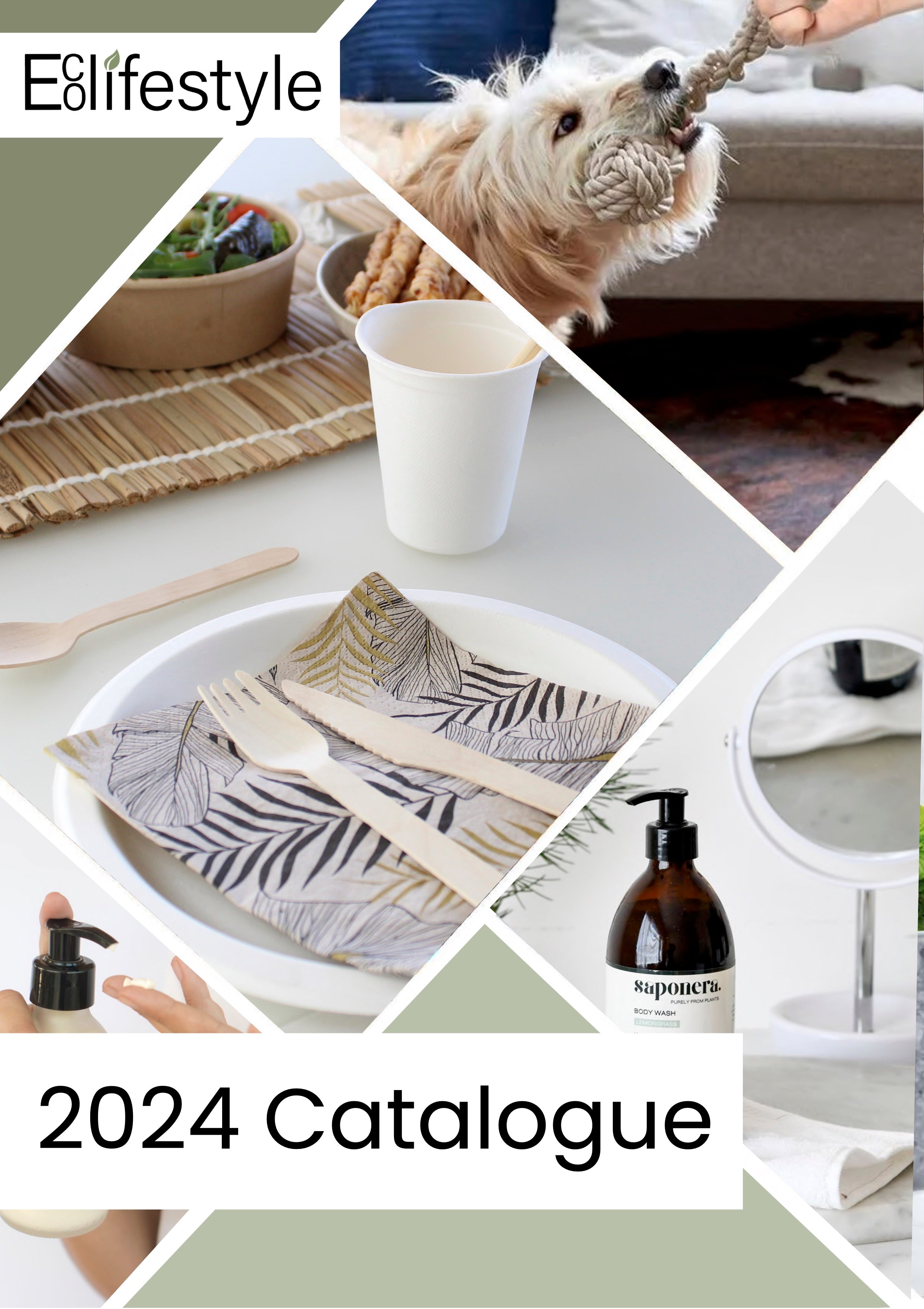 eco friendly items catalogue