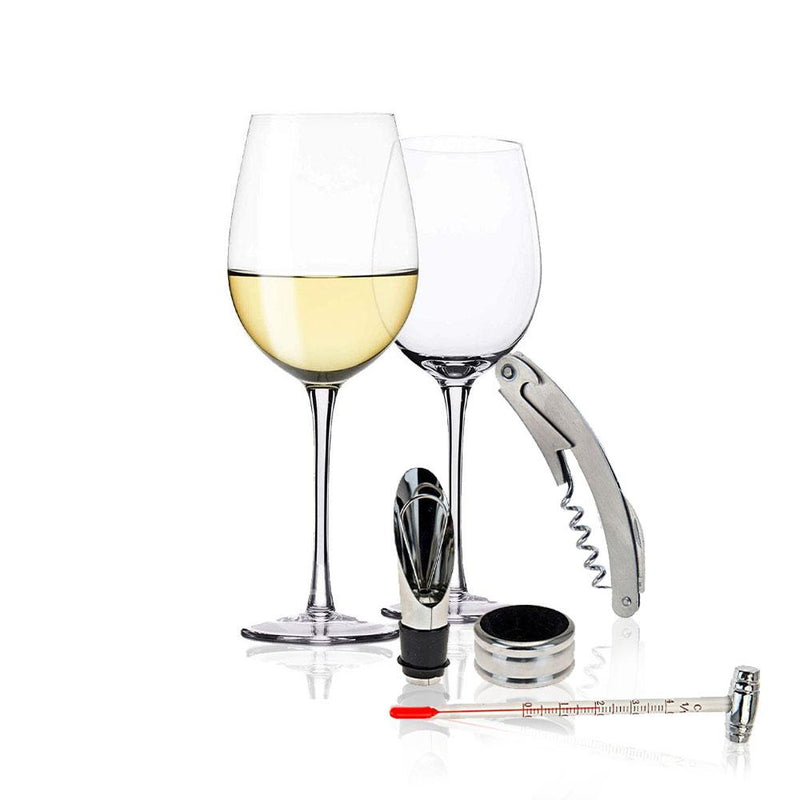 520ml 2 Piece White Wine Glasses with Stainless Steel Wine Tool Set of 4